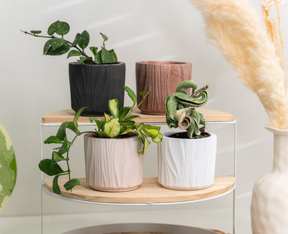 unique planter houseplant pot wholesale plant shop products