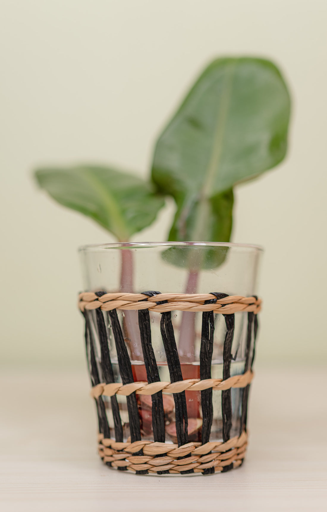 2 Pack Rattan Wrapped Glasses