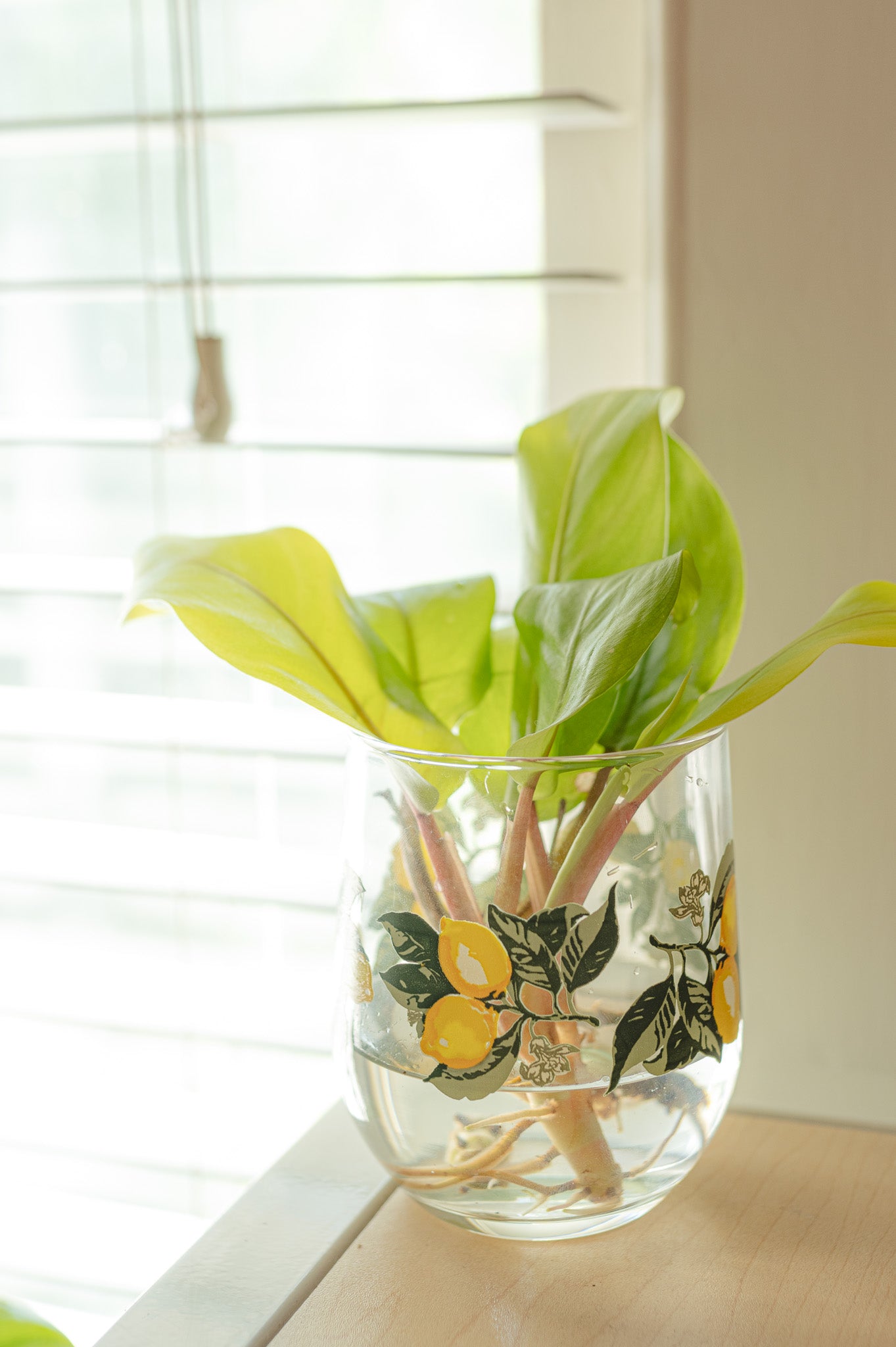 Vintage Lemon Glassware