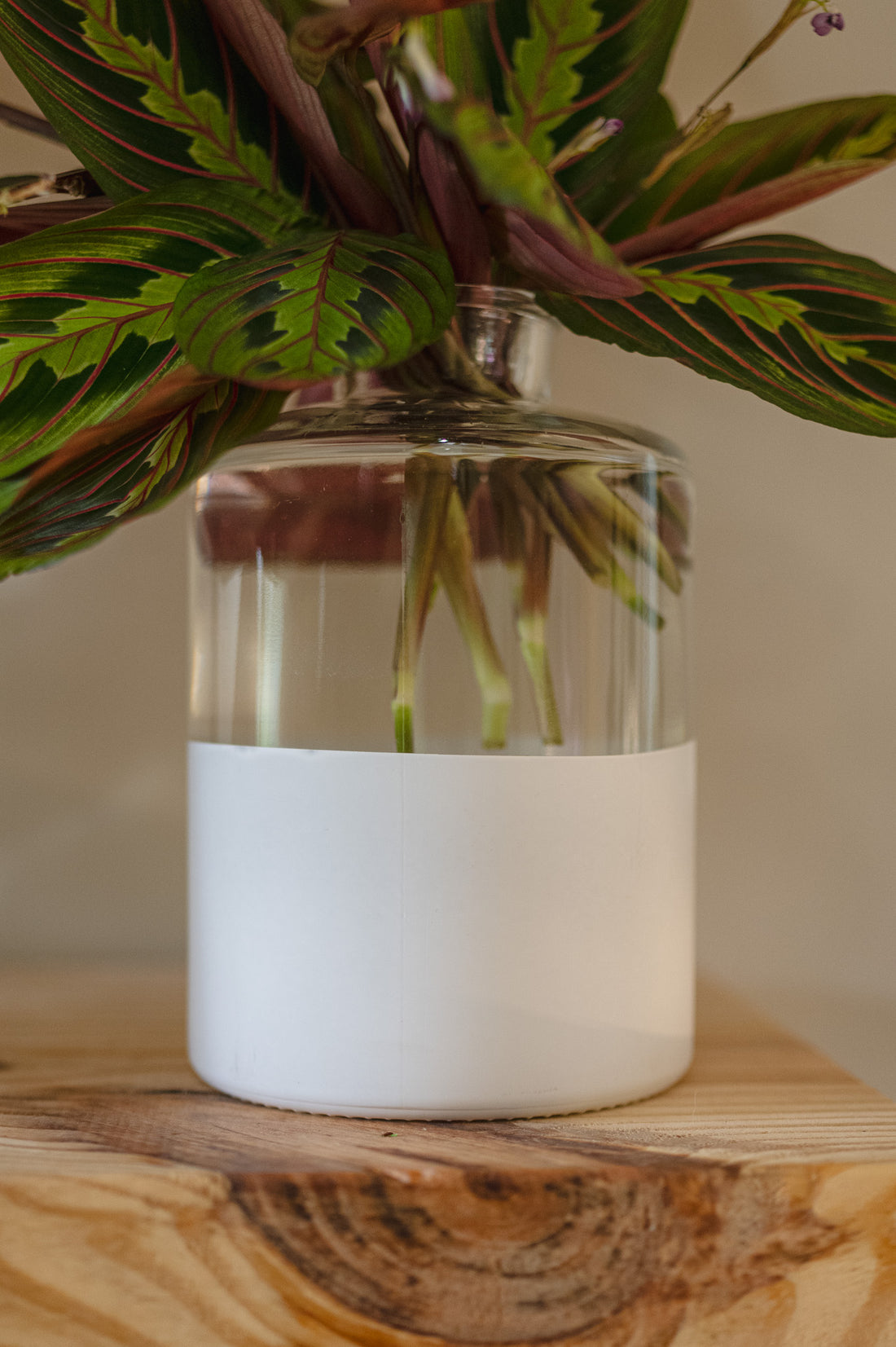 White Dipped Glass Vase