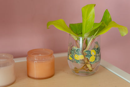 Vintage Lemon Glassware