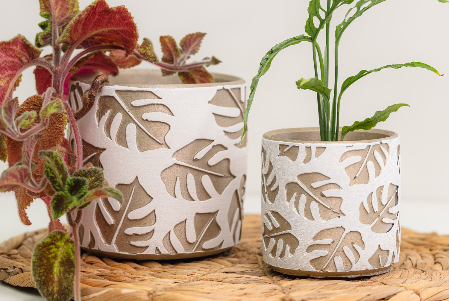 leaf planter designer concrete houseplant pot wholesale pottery bulk flower pots