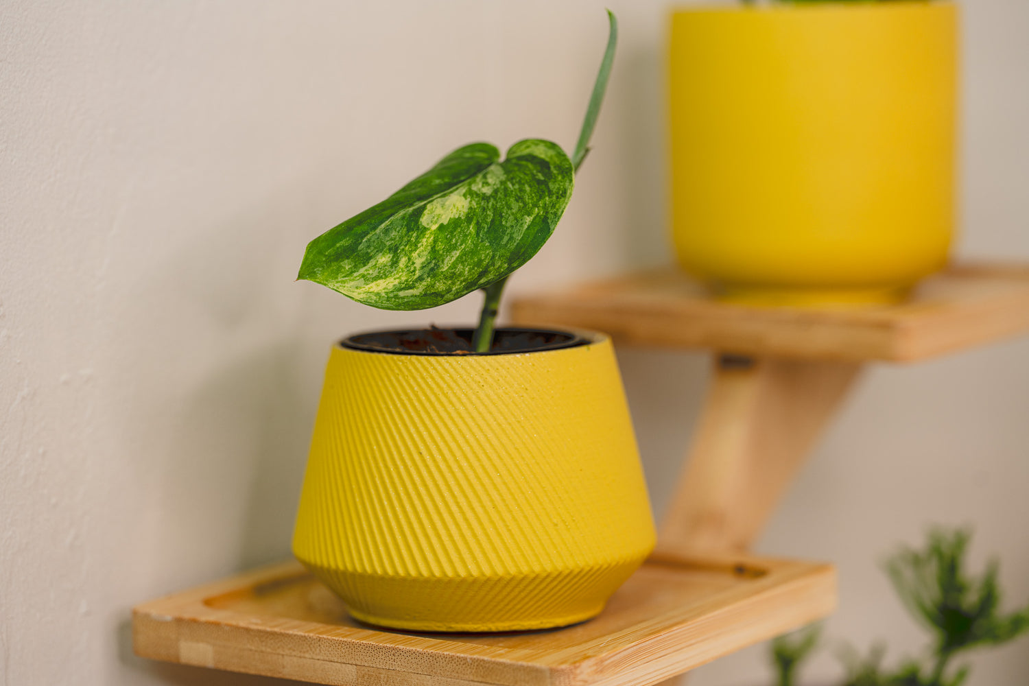 yellow handmade designer cover pots and planters