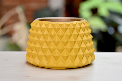 Pineapple Pot