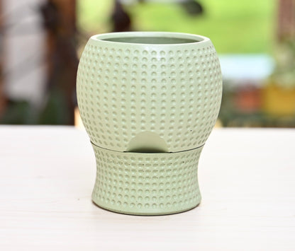 Dottie Self Watering Pot