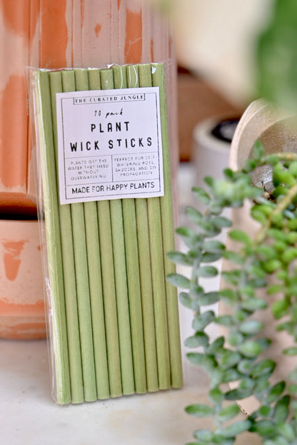Plant Wick Sticks 10-Pack