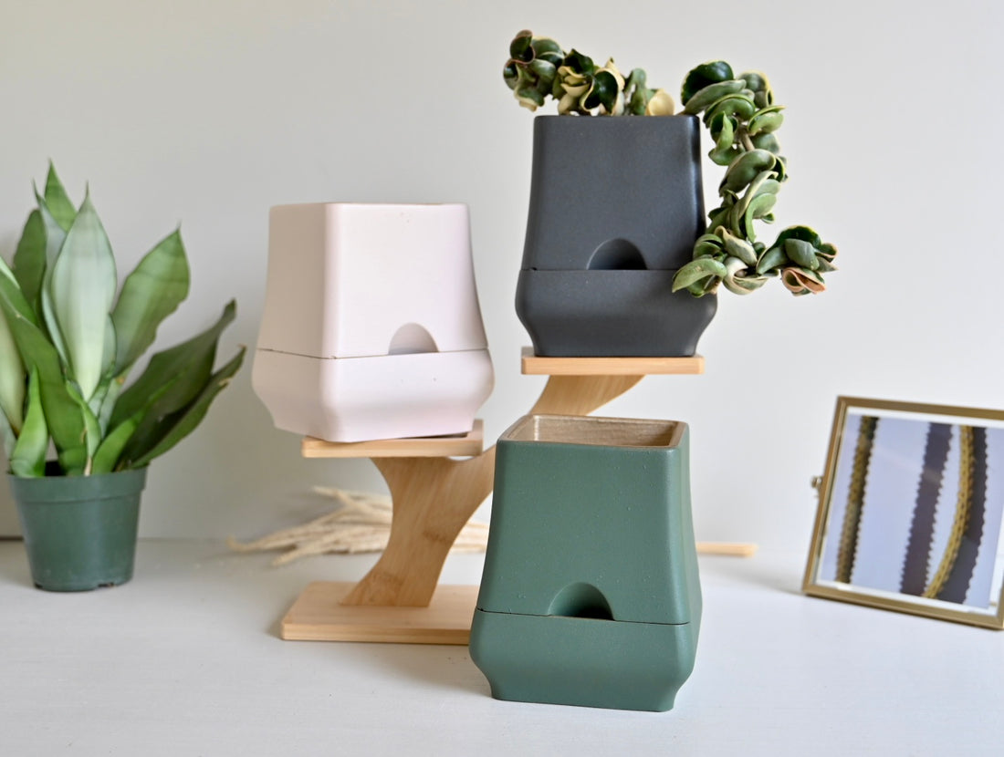 Belle - Self-Watering Concrete Planter