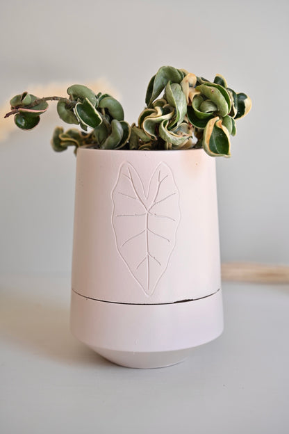 Tall Self-Watering Alocasia Planter