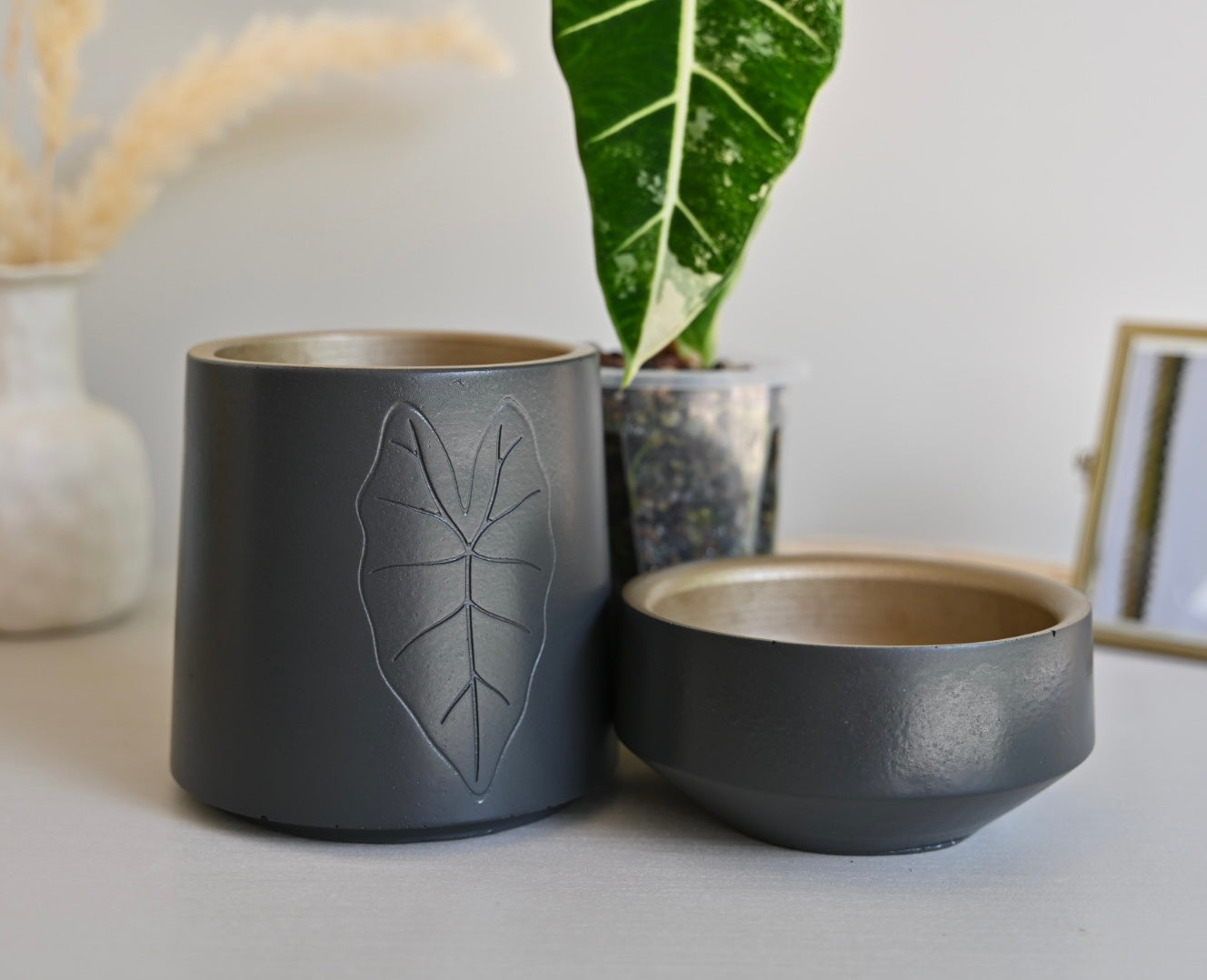 Tall Self-Watering Alocasia Planter