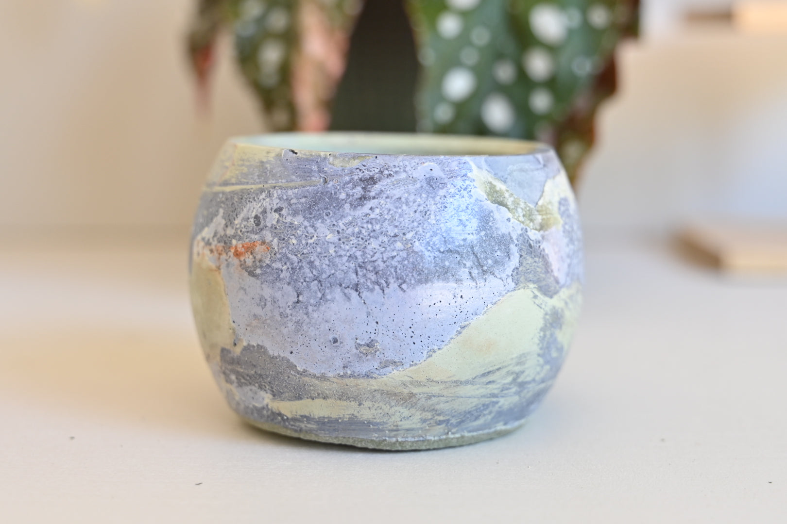 One-of-a-Kind Handmade Bowl Planter