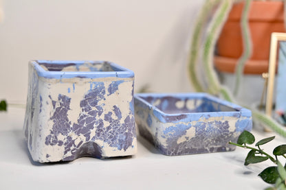 handmade self watering pot for plant collectors 