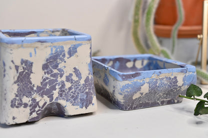 handmade self watering pot for plant collectors 