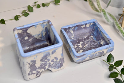 handmade self watering pot for plant collectors 