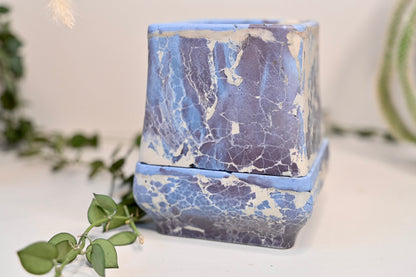 handmade self watering pot for plant collectors 