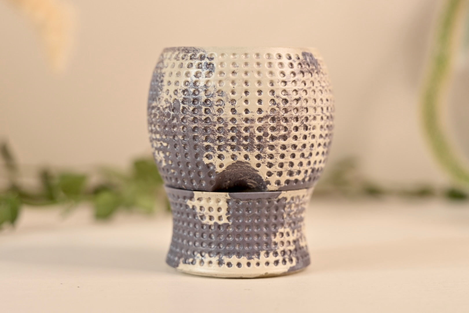 2.5" Unique Dottie Mini Self-Watering Pot