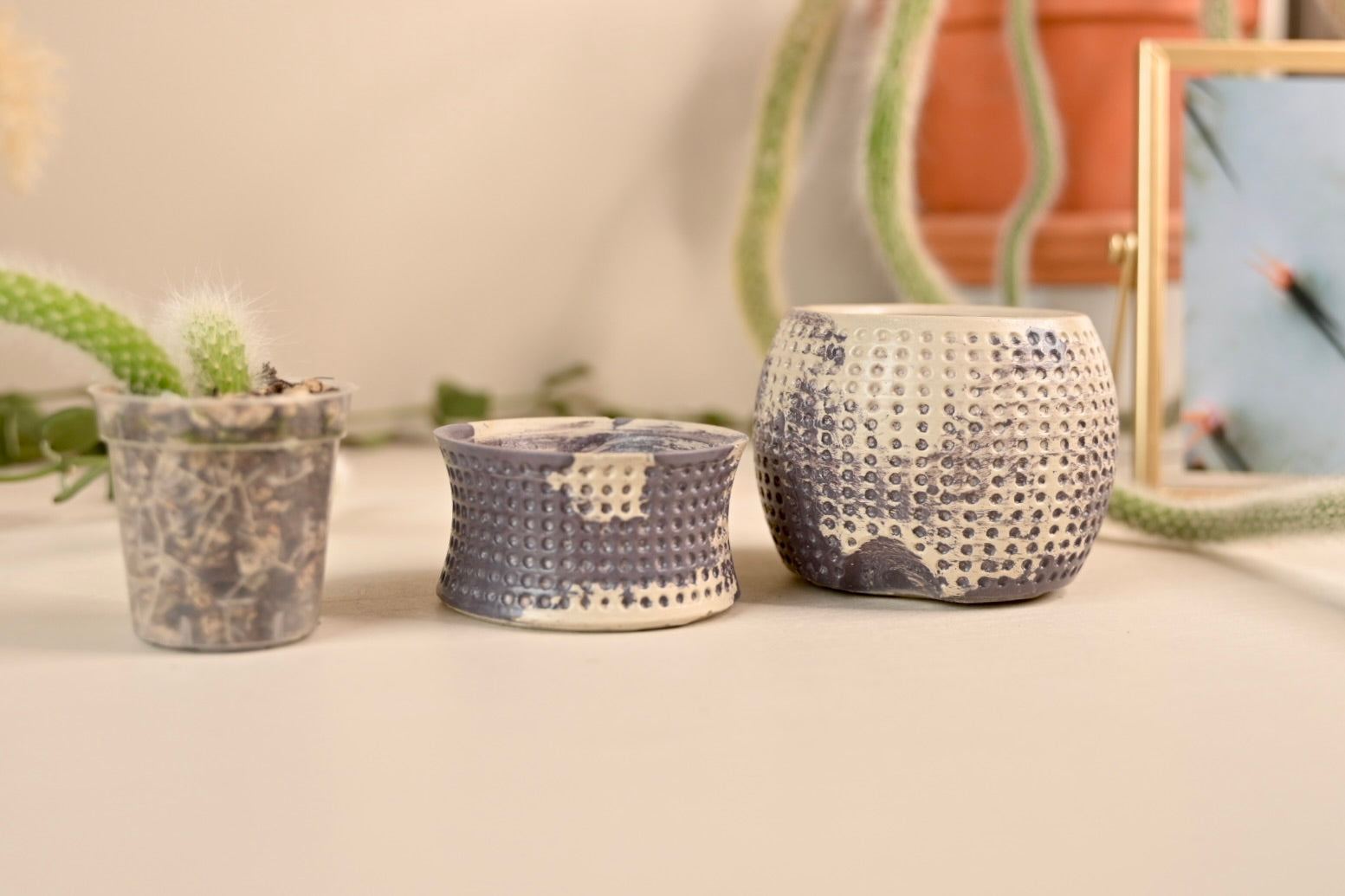 2.5" Unique Dottie Mini Self-Watering Pot