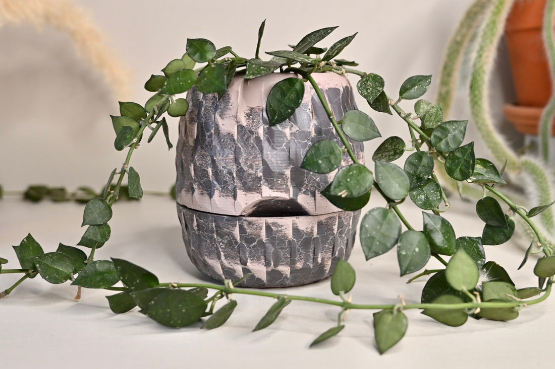 Moody Purple Dragon Egg Self Watering Planter