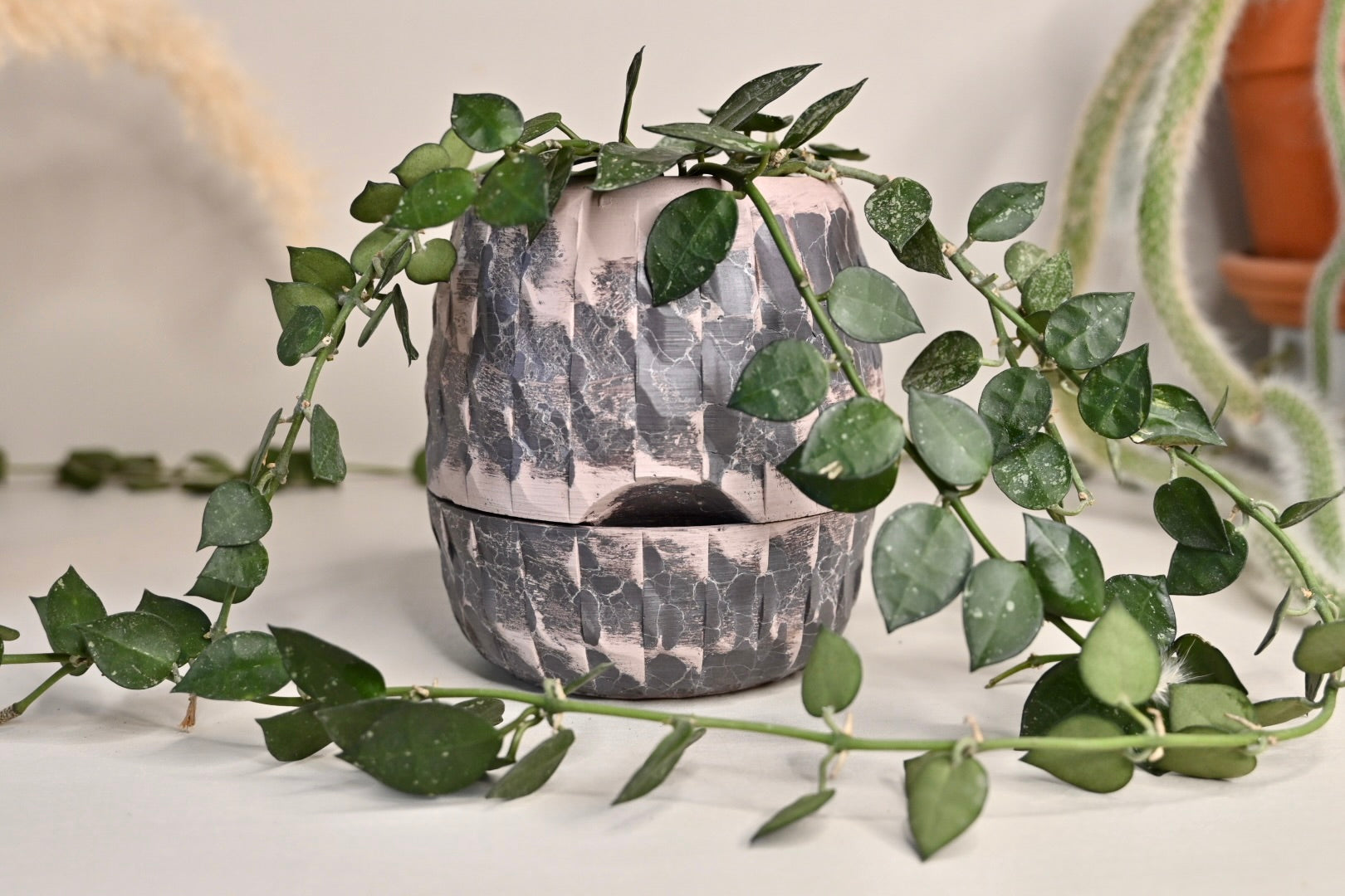 Moody Purple Dragon Egg Self Watering Planter