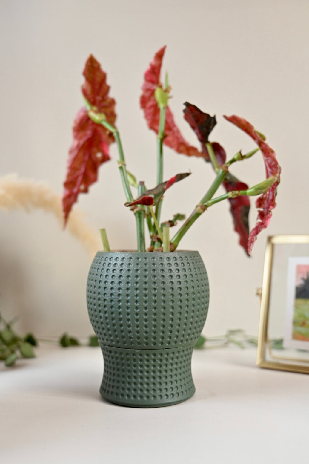 self watering succulent pot Self Watering Rectangle Planter