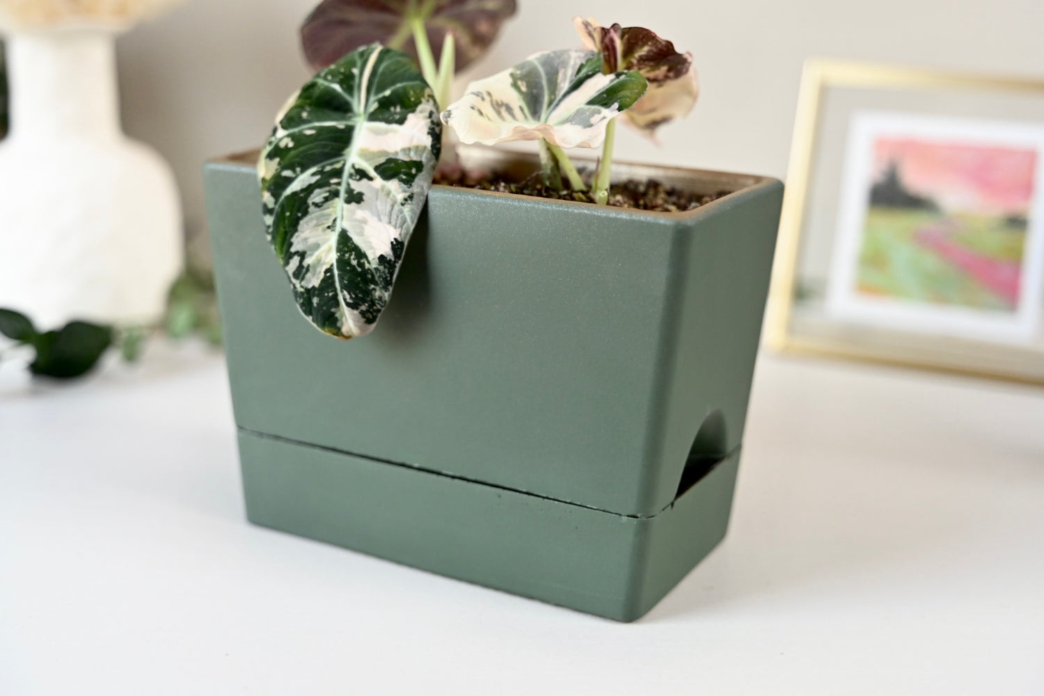 rectangular plant pot Self Watering Rectangle Planter