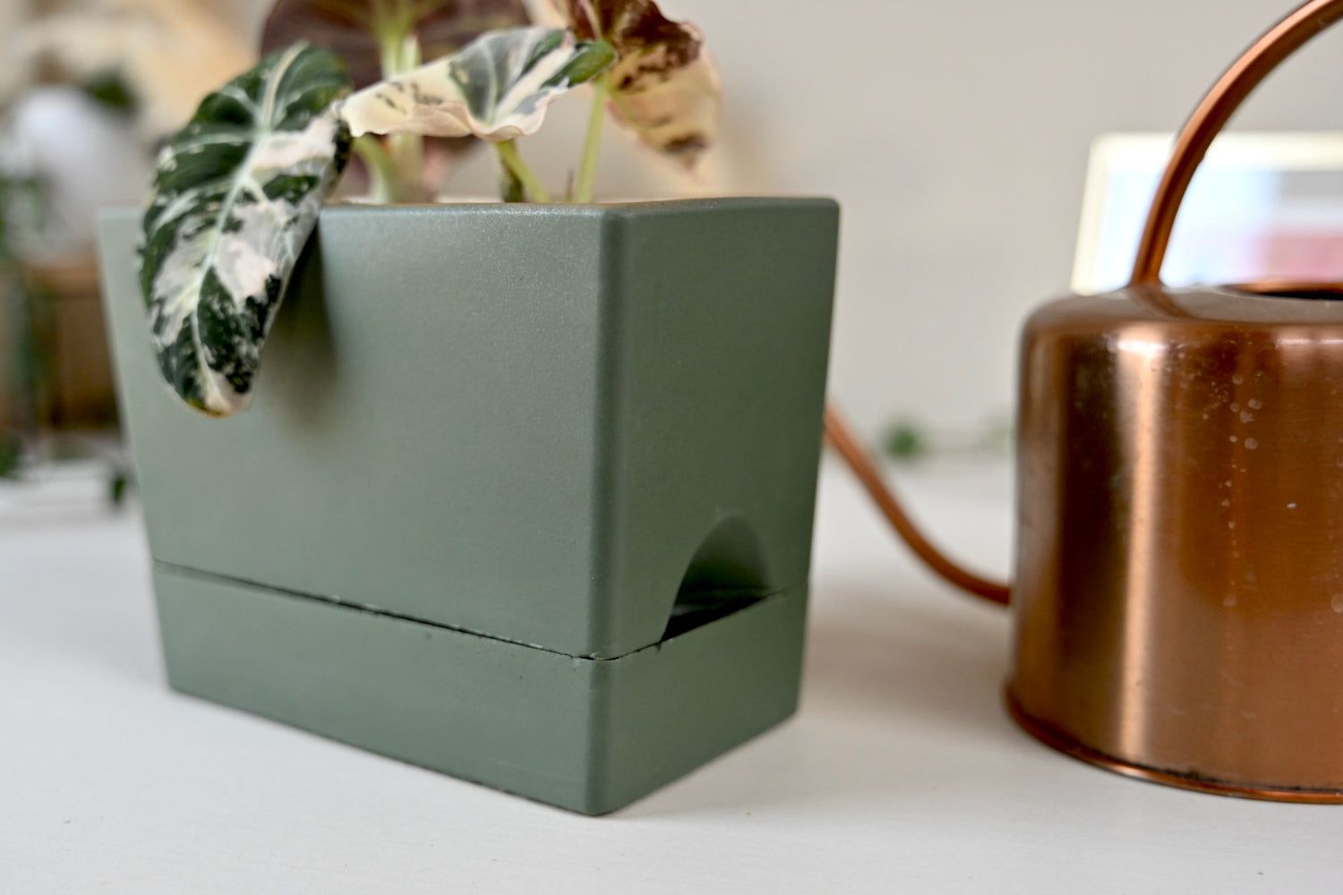self watering rectangular planter box Self Watering Rectangle Planter