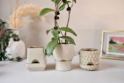 Mini Self-Watering Planter Set (2.5”) | Dizzy, Dottie &amp; Belle