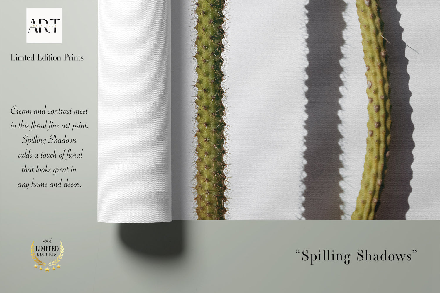 Spilling Shadows - Modern Cactus Art Print