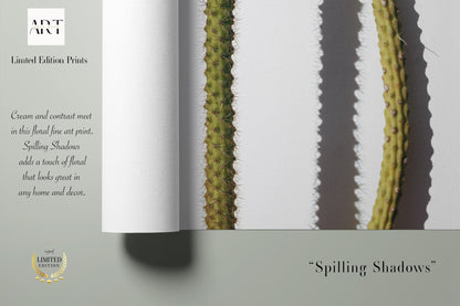 Spilling Shadows - Modern Cactus Art Print