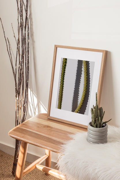 Spilling Shadows - Modern Cactus Art Print