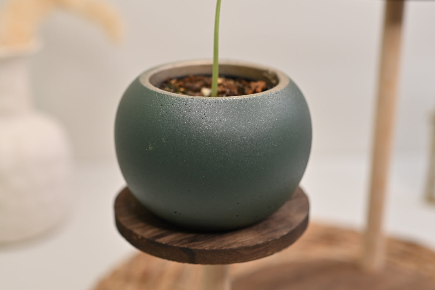 green bowl planter mini handmade concrete plant pot