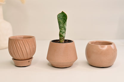 terracotta plant pots designer planter wholesale pottery