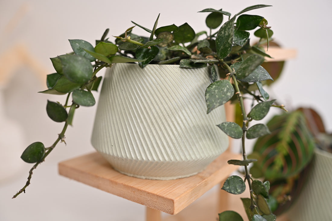 minty sage green plant pot decorative wholesale planter