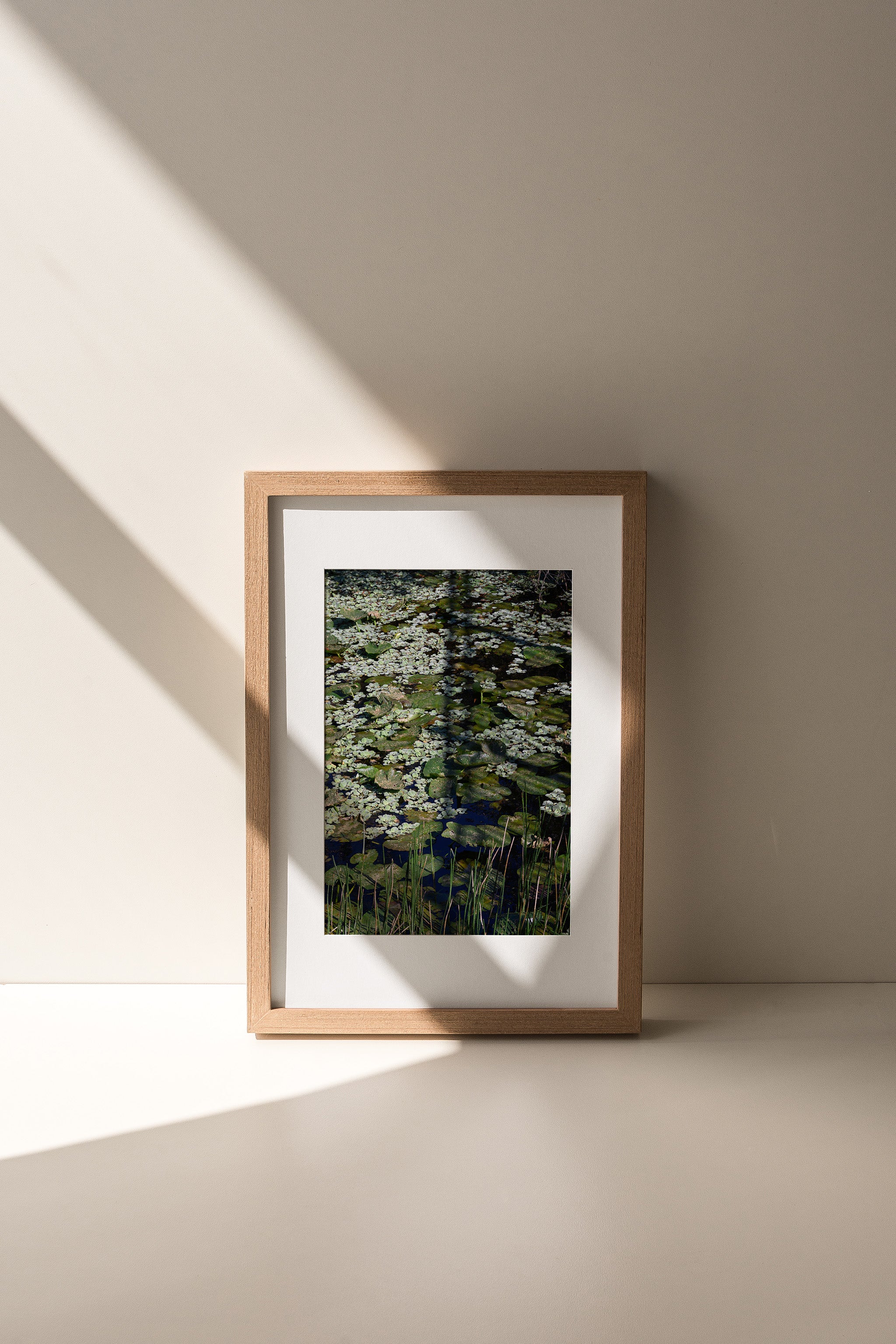 Moody Modern Lily Pad Botanical Art Print