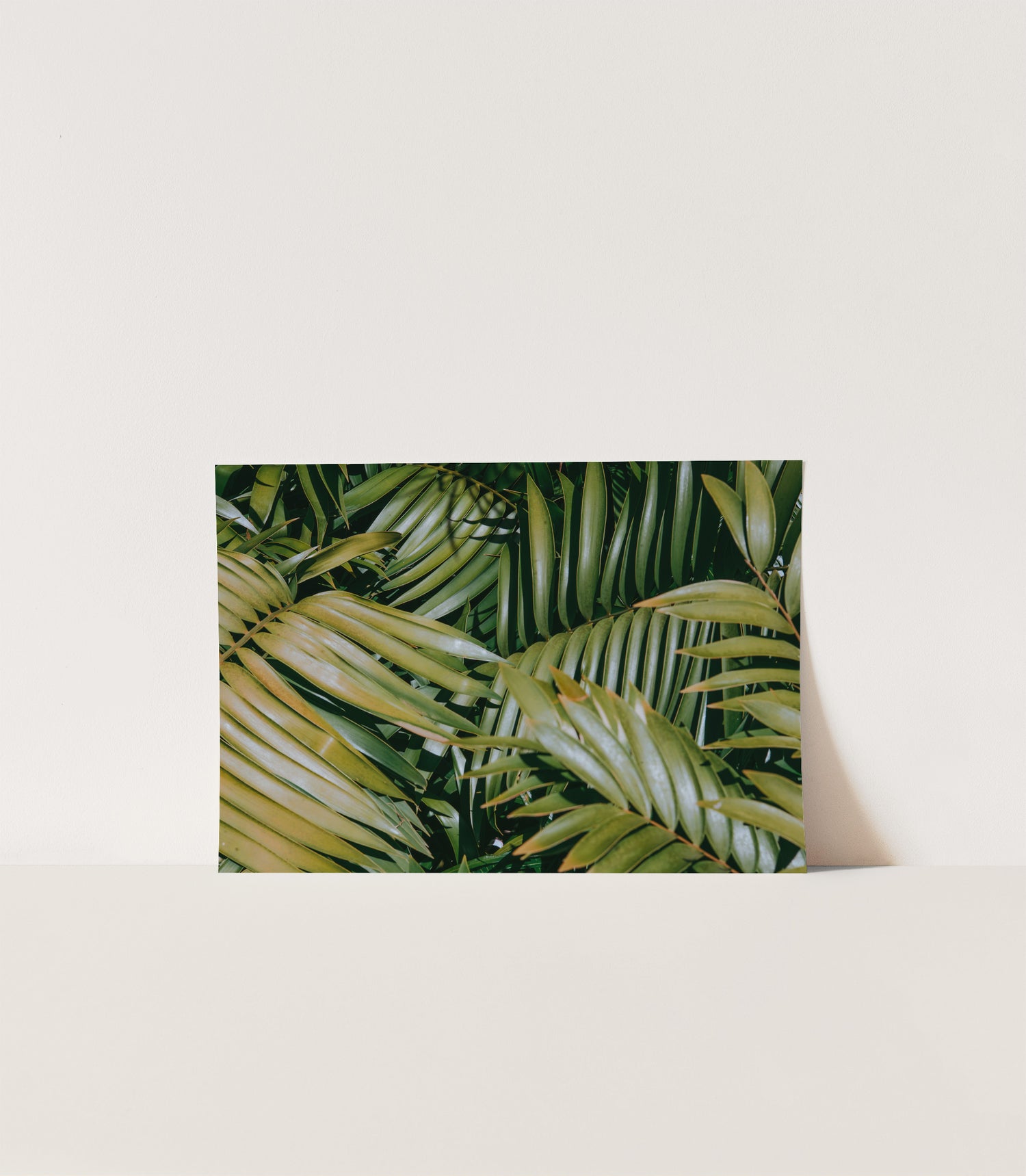 Tropical Leaves Art Print - Verdant Love